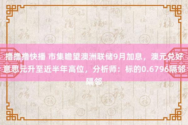 撸撸撸快播 市集瞻望澳洲联储9月加息，澳元兑好意思元升至近半年高位，分析师：标的0.6796隔邻