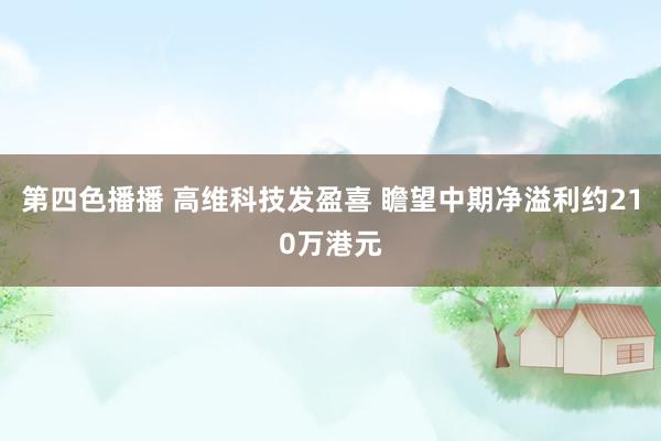 第四色播播 高维科技发盈喜 瞻望中期净溢利约210万港元