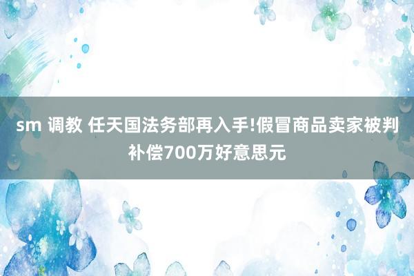 sm 调教 任天国法务部再入手!假冒商品卖家被判补偿700万好意思元