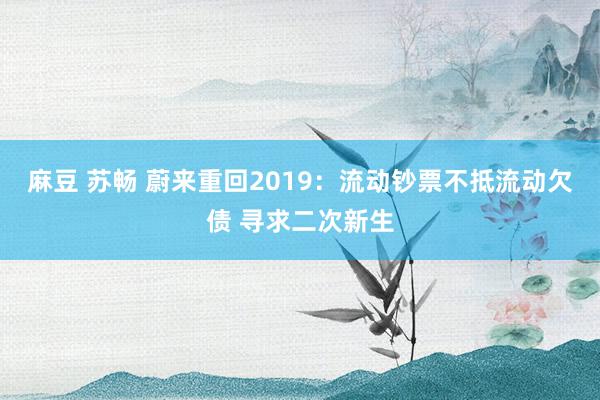 麻豆 苏畅 蔚来重回2019：流动钞票不抵流动欠债 寻求二次新生