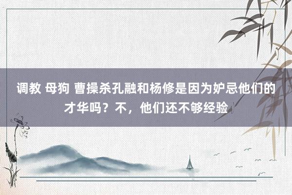 调教 母狗 曹操杀孔融和杨修是因为妒忌他们的才华吗？不，他们还不够经验