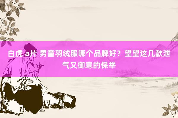 白虎 a片 男童羽绒服哪个品牌好？望望这几款泄气又御寒的保举