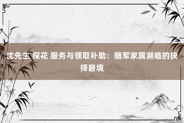 沈先生 探花 服务与领取补助：随军家属濒临的抉择窘境