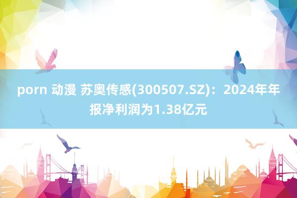 porn 动漫 苏奥传感(300507.SZ)：2024年年报净利润为1.38亿元