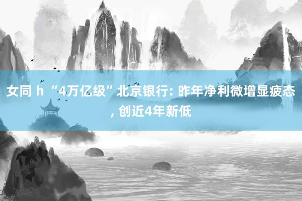 女同 h “4万亿级”北京银行: 昨年净利微增显疲态， 创近4年新低