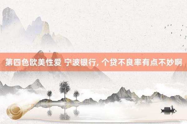 第四色欧美性爱 宁波银行， 个贷不良率有点不妙啊