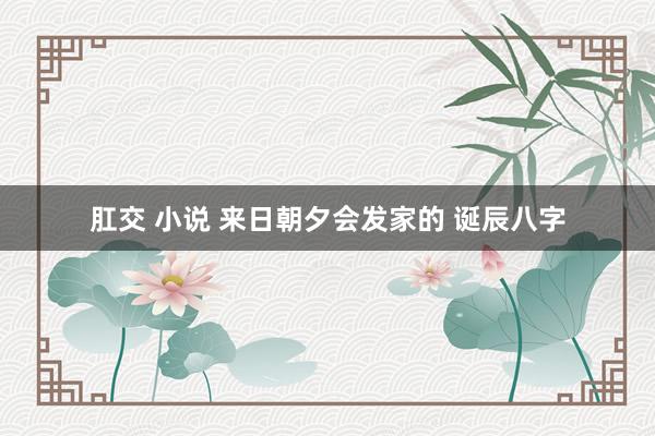 肛交 小说 来日朝夕会发家的 诞辰八字